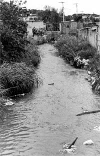 cap&atilde;o redondo, sem inspira&ccedil;&atilde;o para cart&atilde;o postal