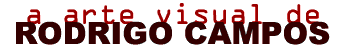 a arte visual de rodrigo campos